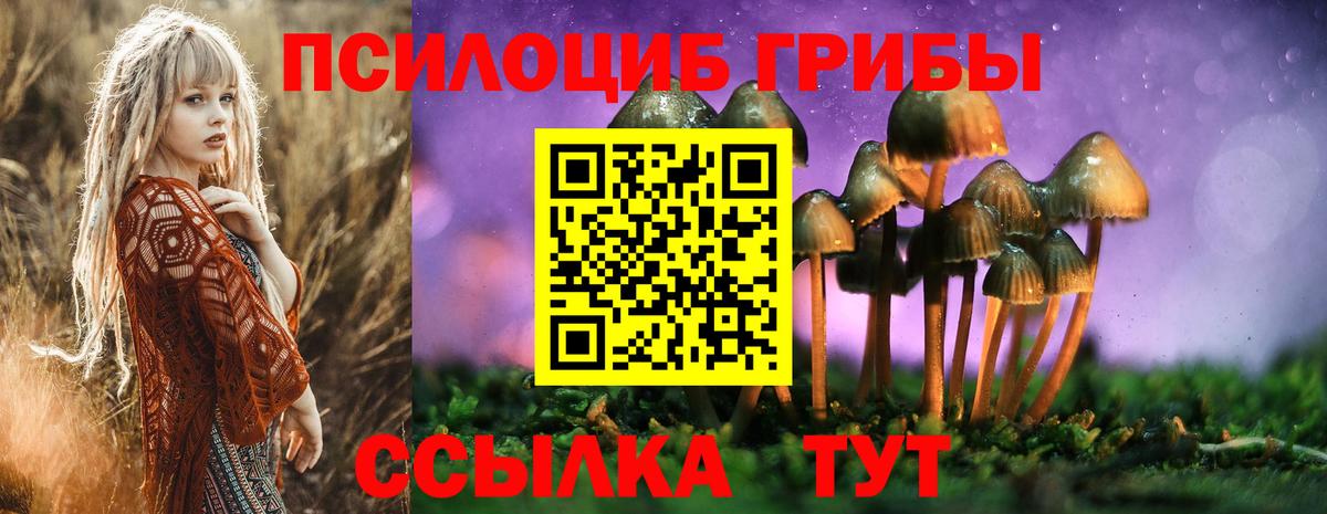 Псилоцибиновые грибы GOLDEN TEACHER  Галлюциногенные грибы мицелий  Топки  Вход с VPN 
